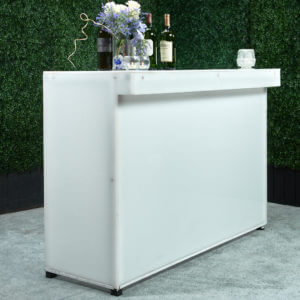 5' Frosted Plexiglass LED Bar